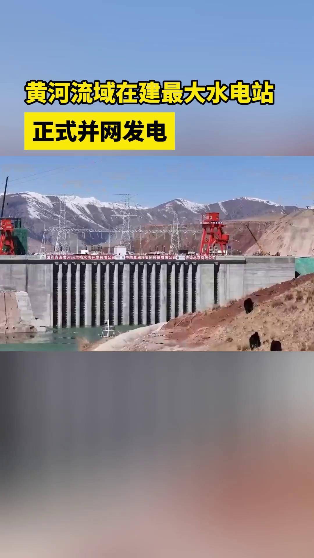 黄河流域海拔最高水电站将全机组并网发电