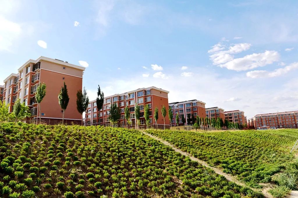 从“三矿连发”看找矿新突破