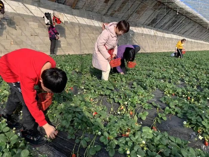 新春走基层｜山沟沟里日子越过越红火
