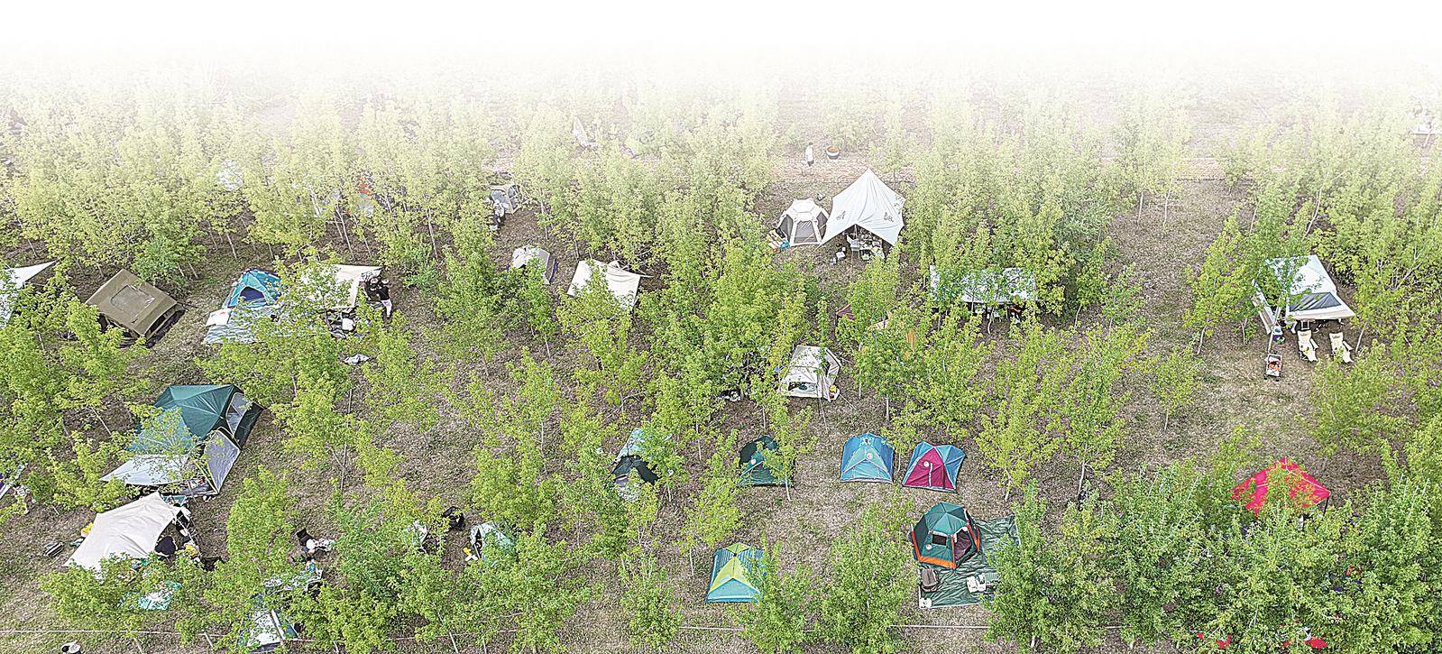 大庆油田碳中和生态园:厚植“绿美”底色 绘就生态画卷