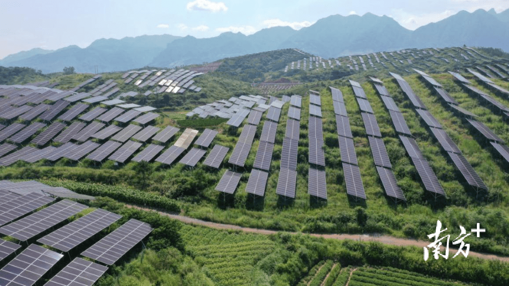 中国石化首个乡村振兴茶光互补项目全面建成