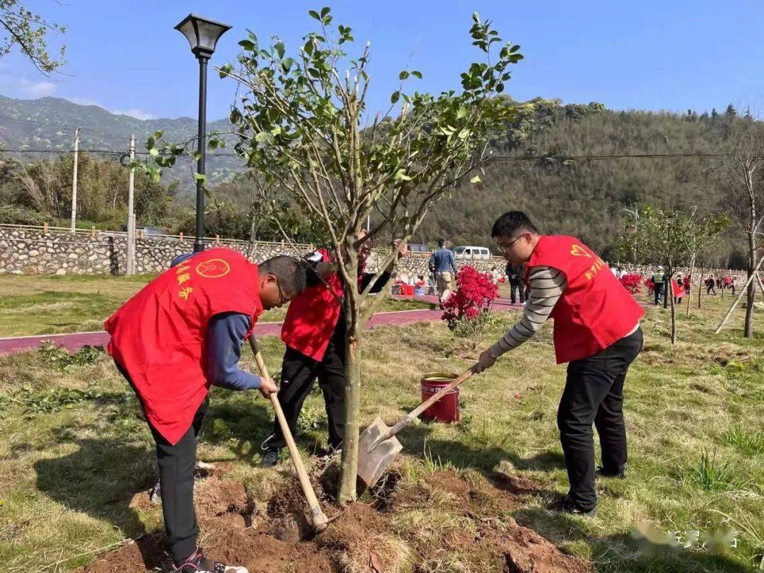 “我为碳中和种棵树”项目募集资金突破5000万元
