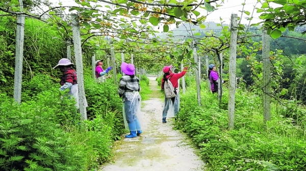 科技赋能矿山安全 创新引领绿色发展——北京君发科技集团携瓦斯全浓度利用成果亮相全国矿山安全科技盛会