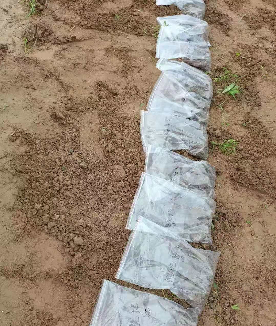 践行 “两山” 理念  塔子坝污水处理厂的生态担当