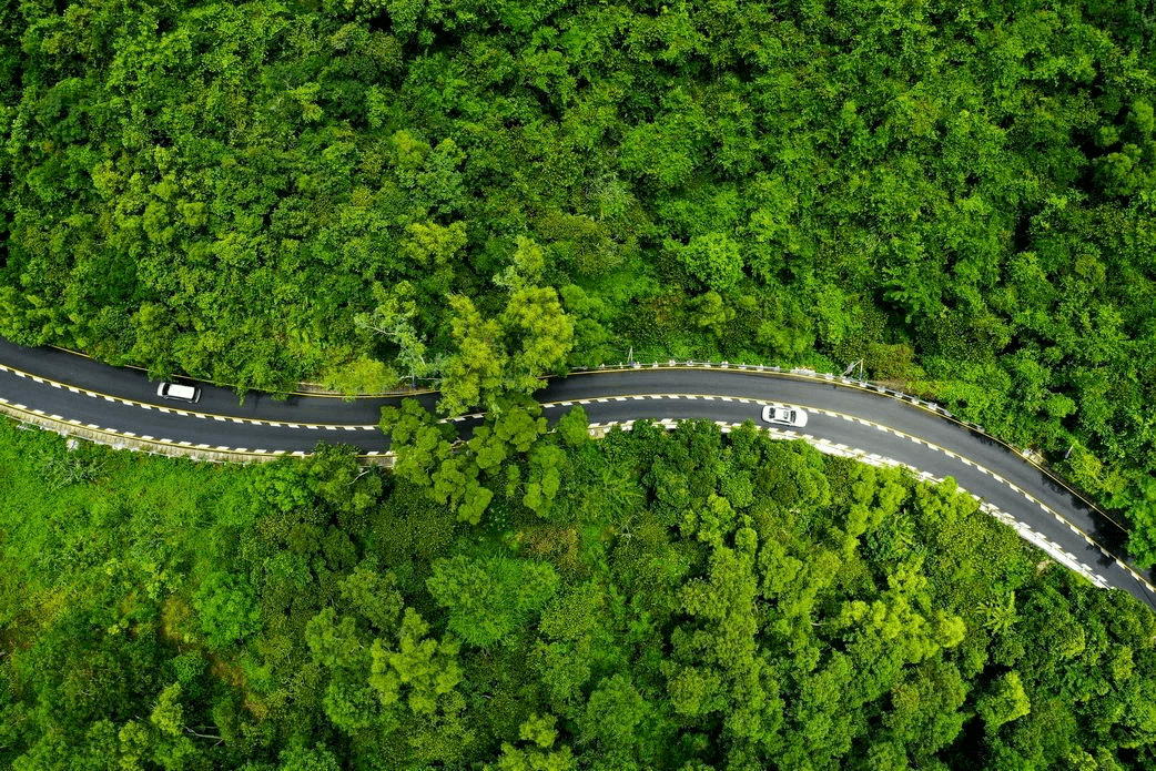 中国中冶：以绿色低碳实践书写美丽中国新答卷