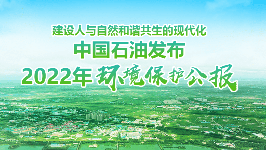 高质量发展能源行丨以“新”降碳 能源绿色转型的南网实践