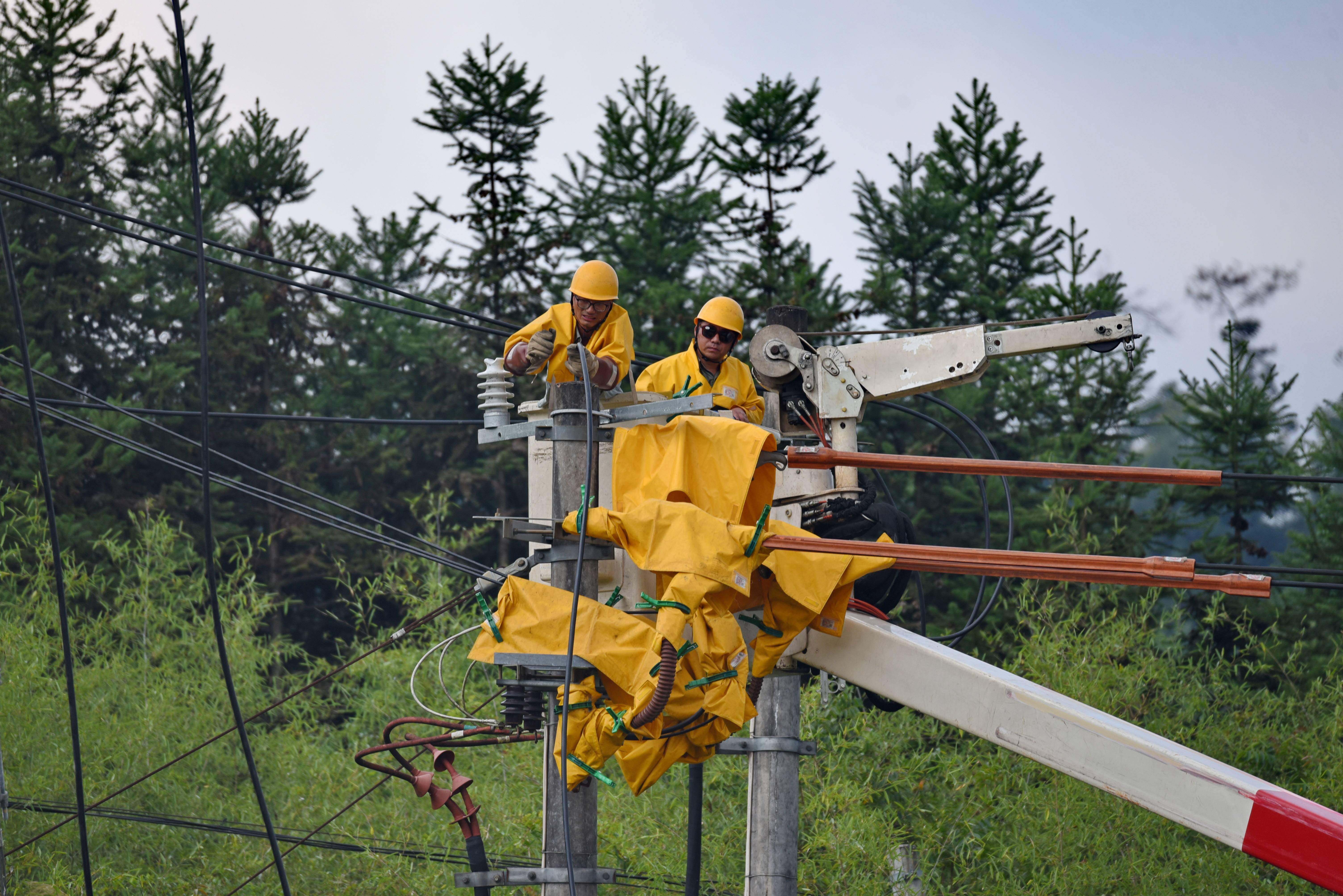 国家电网：重点工程建设稳步推进