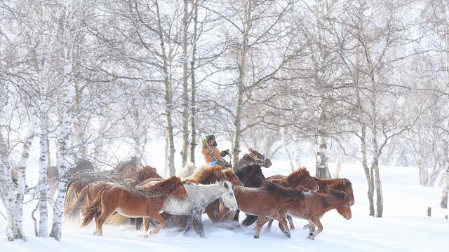 鄂尔多斯：转型发展加速跑——现代煤化工让“乌金之海”更生金 “风光氢储车”让能源之城“能”更足