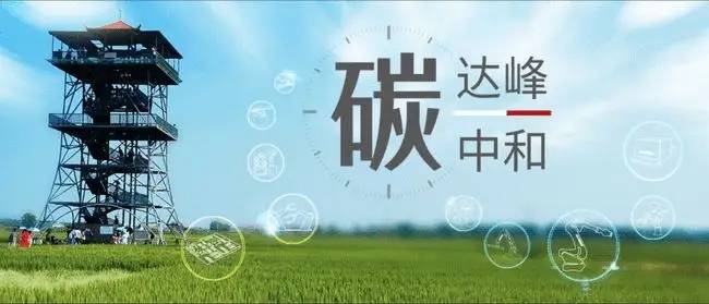 碳路者说|中国投资协会能投委秘书长张杰：零碳园区是践行"双碳"目标的“试验田”与“加速器”