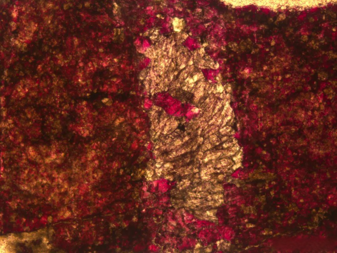 中国石油承建的首个海底盾构工程进入掘进阶段