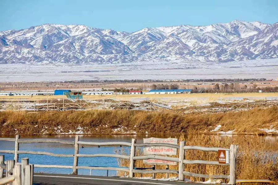 在哈密，遇见甜蜜