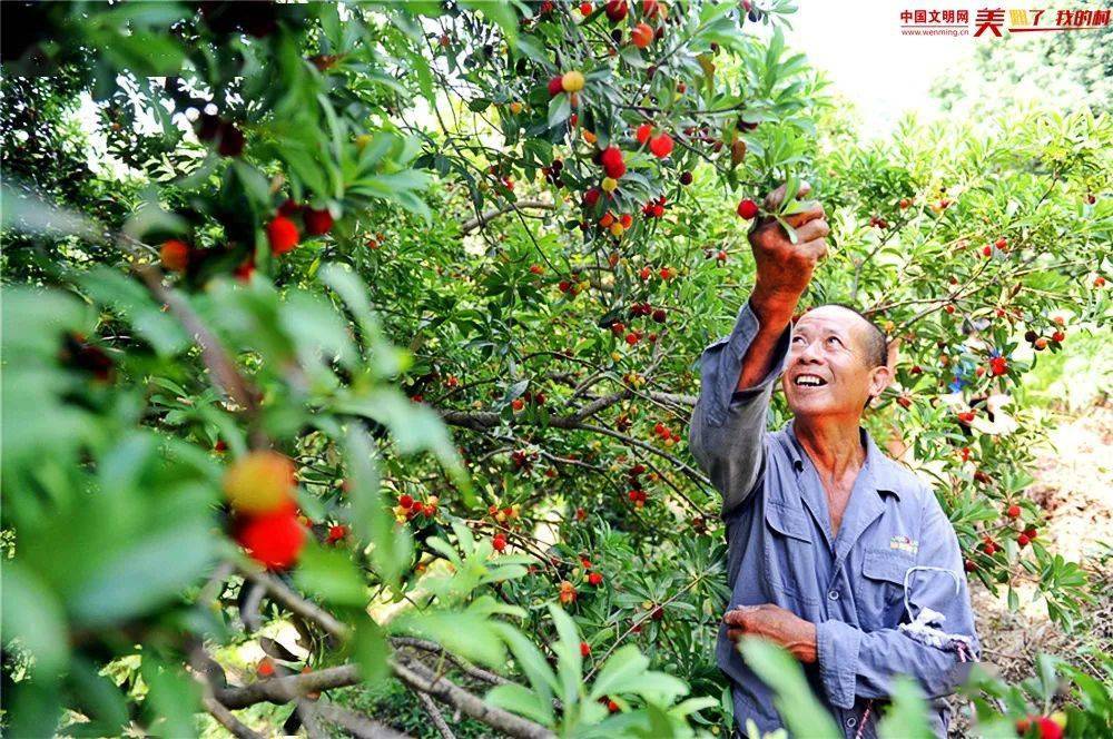 雅迪：深耕ESG实践 引领绿色出行可持续发展之路