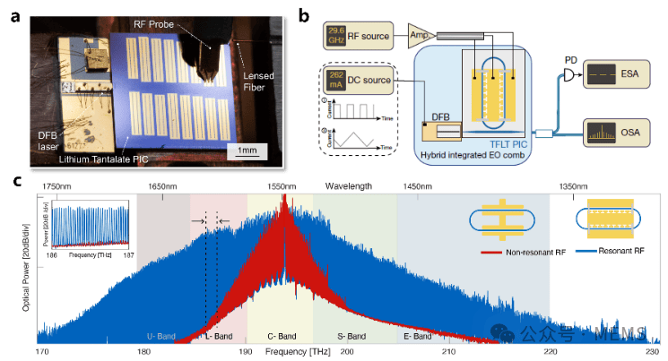量子材料平台实现光学模式动态切换