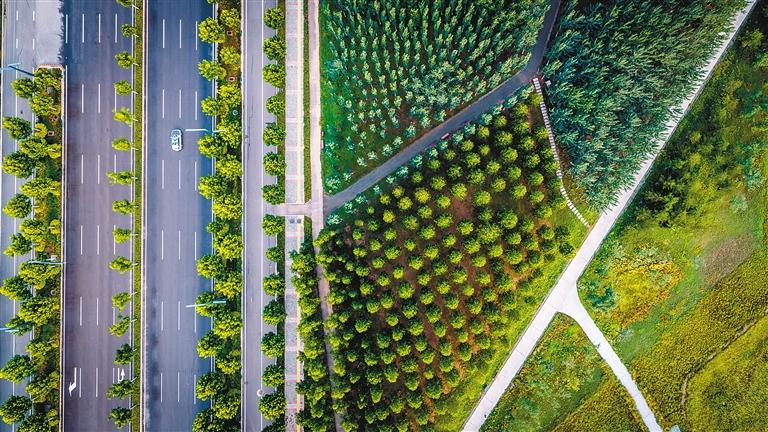 建设绿色低碳的美丽城市