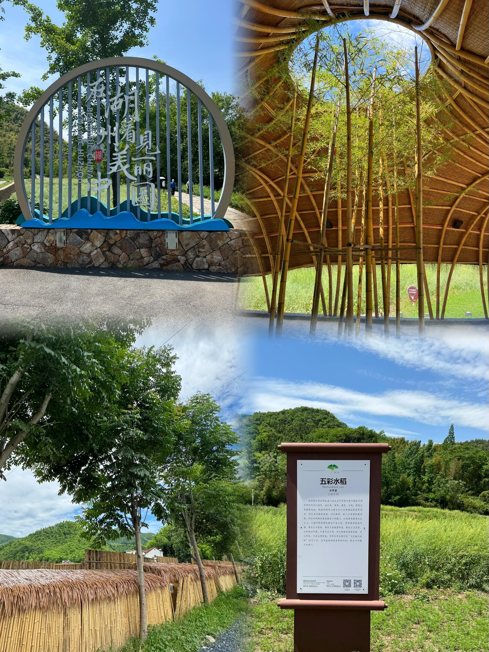 电染青山绿更浓——“绿水青山就是金山银山理念”提出20年的安吉实践