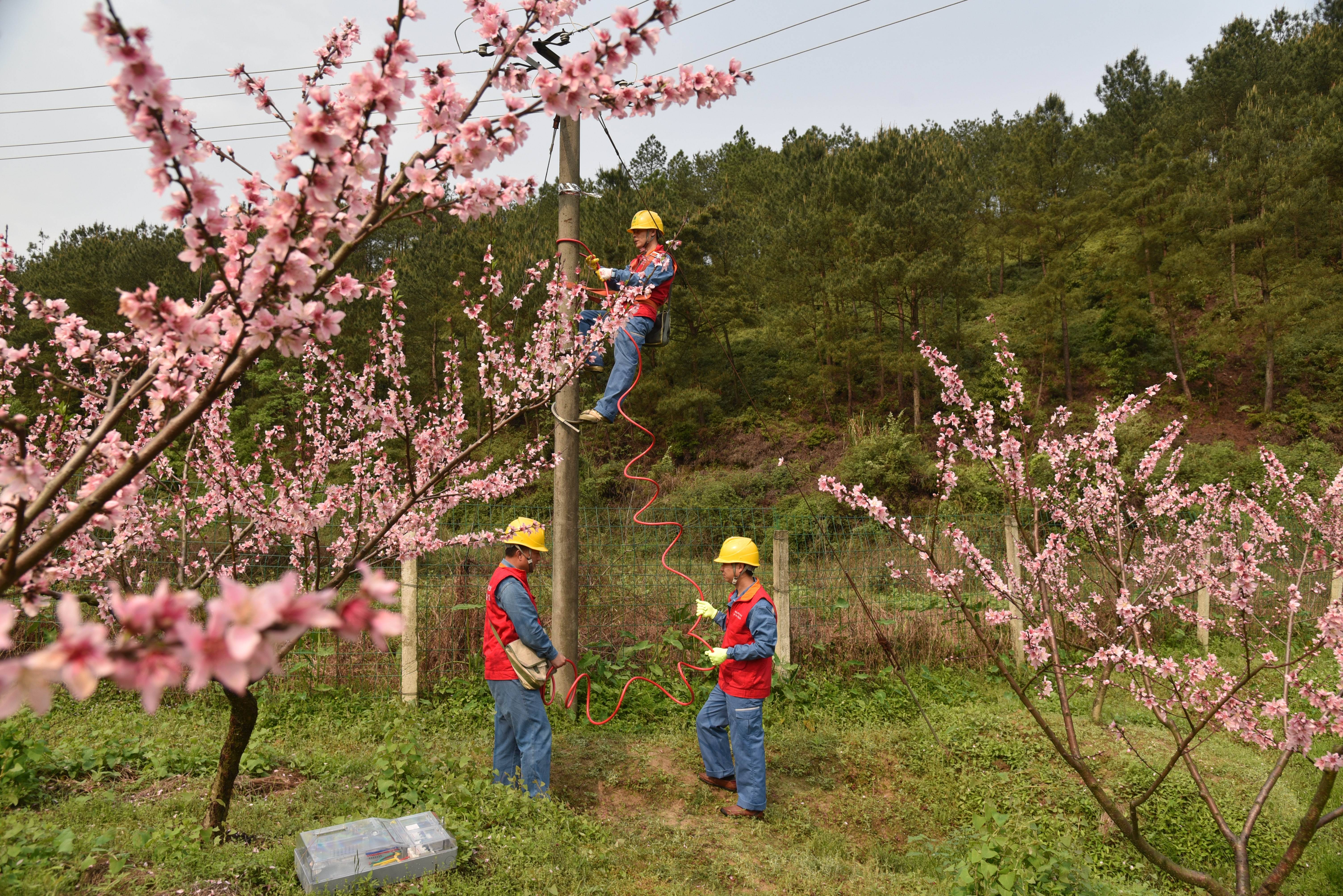 国家电网以新型电力系统赋能生态文明建设