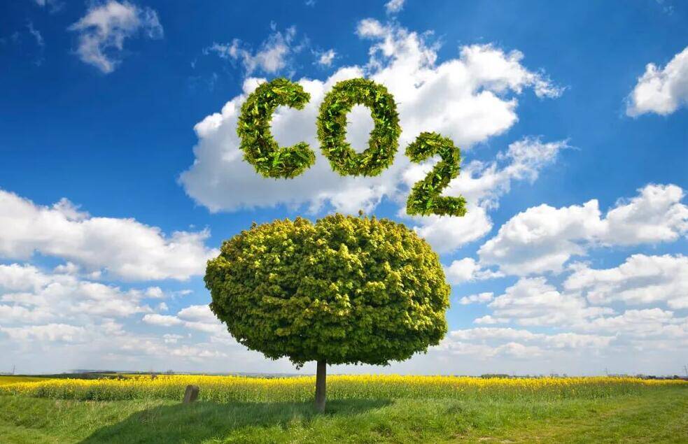 北控水务玉溪市污水处理厂：以绿色低碳实践 树行业标杆典范