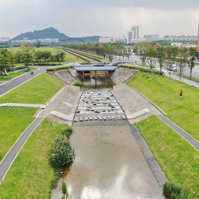 扎根深圳五载 共筑鹏城新篇——写在深圳经济特区成立45周年暨中国二十二冶扎根深圳5年之际