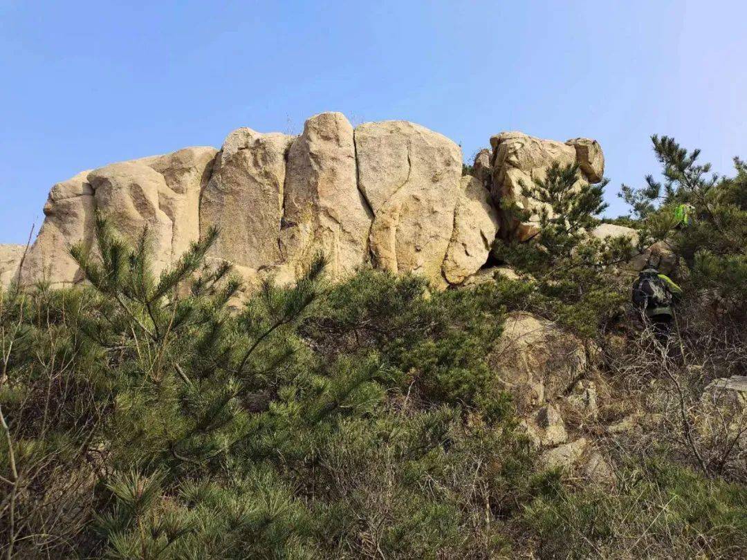 茶山披“光”甲