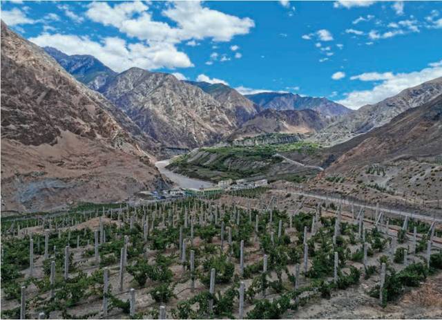 守护雪域高原 中国石化助力西藏经济社会发展 供应油品超100万吨，投入援藏资金6.8亿元