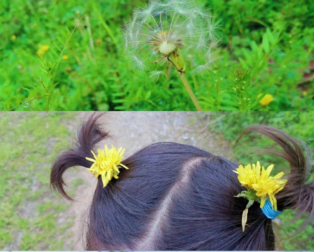 绿色萤火虫 “落户”乔家小学