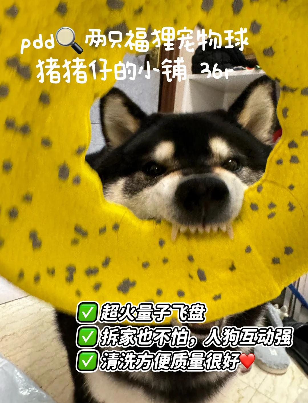 Token被摆上天猫的那一刻,离拼多多已经不远了